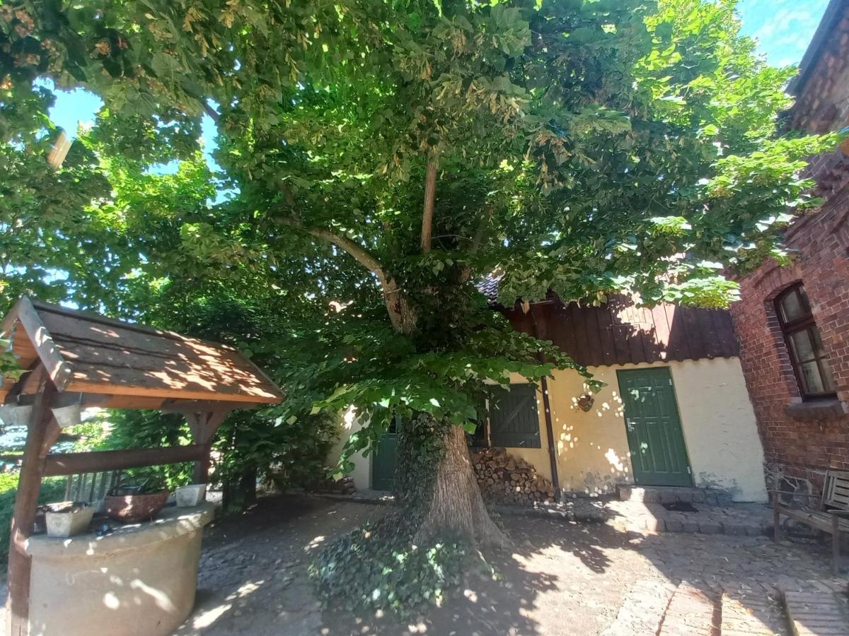 Avalon Polchowo كاميين بومورسكي المظهر الخارجي الصورة